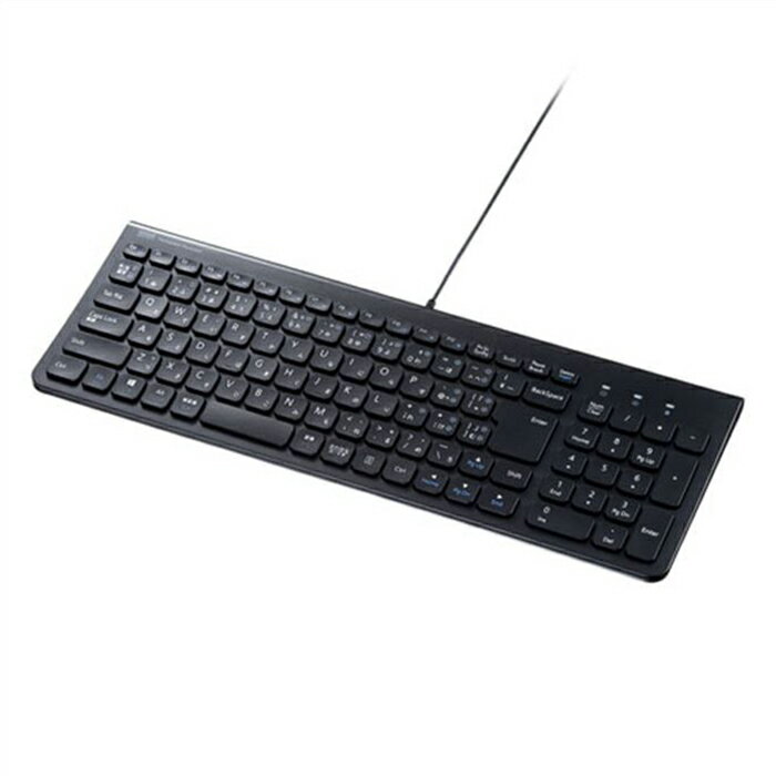 【代引不可】USB Type-C スリムキーボード テンキー付 有線 キーボード 薄型 コンパクト 持ち運び 便利 PC タブレット ブラック サンワサプライ SKB-SL31CBK