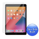 【代引不可】第8/7世代iPad10.2インチ用 液晶保護ガラス ブルーライトカット強化ガラスフィルム 0.33mm サンワサプライ LCD-IPAD102GBC