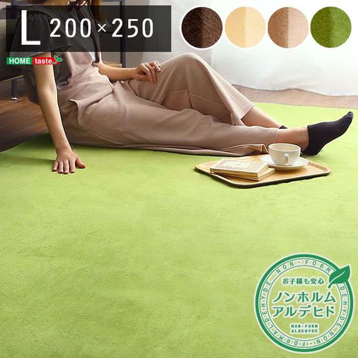 【北海道・沖縄・離島配送不可】【代引不可】ラグマット Lサイズ 200×250cm ラグ マット 高密度フランネルマイクロファイバー 洗える シンプル おしゃれ インテリア ホームテイスト FRG-L dresma-11317217 スマホカバー専門店 ドレスマ サンプル画像2