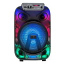 【即日出荷】【沖縄・離島配送不可】CICONIA 全身発光LEDパーティスピーカー 360°光る ハンドル&車輪付 Bluetooth USB 無線 センター商事 CTGY10A