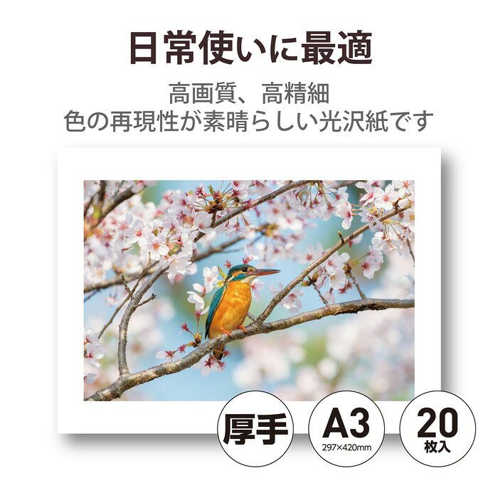 スマホカバー専門店 ドレスマの【代引不可】プリンター用紙 写真用紙 A3 20枚 光沢 厚手 エレコム EJK-HQA320｜アングル2