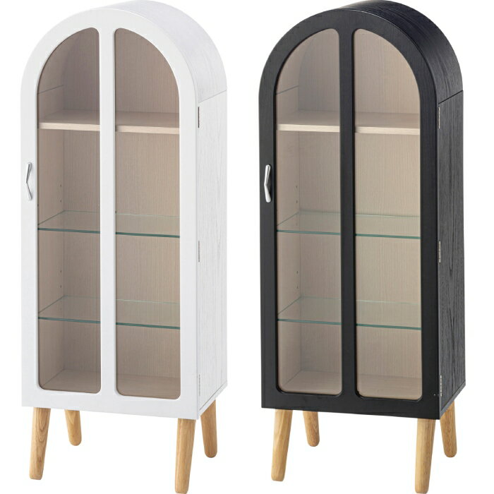 【北海道・沖縄・離島配送不可】【代引不可】コレクションシェルフ 家具 インテリア 稼働棚 コレクション ディスプレイ 東谷 PT-621