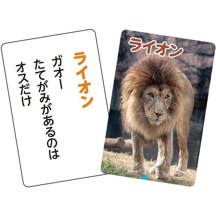これはなんの音？ かるた ～いきもの～ 知育玩具 教材 動物 カードゲーム アーテッ...