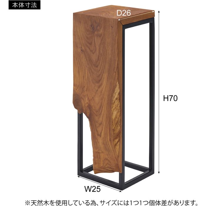 【北海道・沖縄・離島配送不可】【代引不可】プランタースタンド 天然木(チーク) スチール サイドテーブル ブラウン 家具 インテリア 東谷 JW-303BR [2]