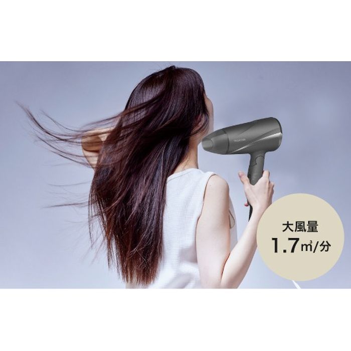TESCOM プロテクトイオン ヘアドライヤー グレー 美容 理容 家電 ヘアケア テスコム TD360A-H