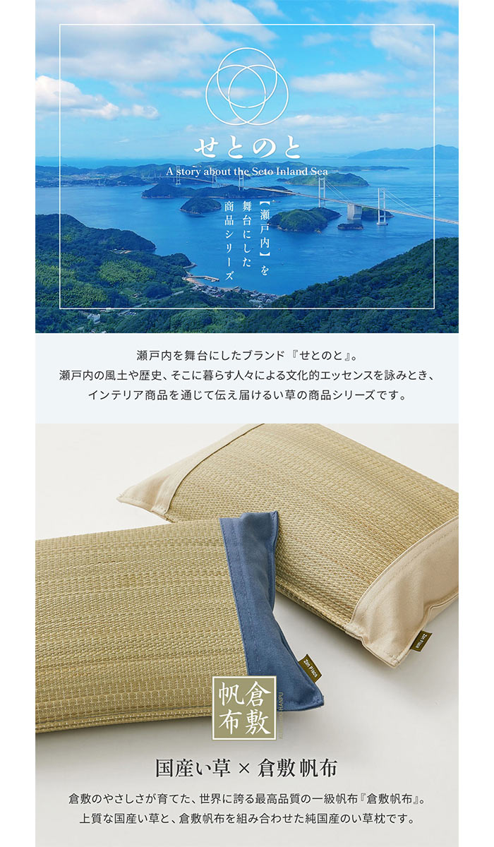 【北海道・沖縄・離島配送不可】【代引不可】国産い草平枕 倉敷帆布使用 2個セット 約32×22×10cm HAGIHARA 81966050x