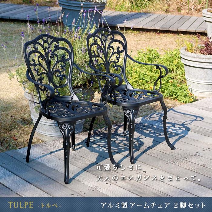 【北海道・沖縄・離島配送不可】【代引不可】アルミ製アームチェア 2脚セット 「トルペ」 マットブラック 住まいスタイル BKS-C5289-2P-BLK