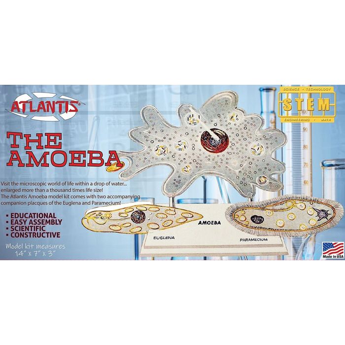 アトランティスモデル アメーバ (単細胞生物) モデル ビーバーコーポレーション ATLL3800