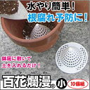 水やり簡単!根腐れ予防に!百花爛漫 小 10個組 富士パックス h821