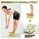 ストレッチ シェイプアップ ストレッチャー シェイプストレッチャー 富士パックス h671