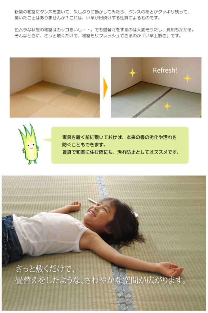 【北海道・沖縄・離島配送不可】【代引不可】い草 上敷きカーペット ござ 約273×273cm 三六間4.5畳 畳の日焼けや汚れ防止に 空気浄化 調湿 消臭 抗菌防臭 両面 コンパクト収納 糸引織 湯沢 純国産 日本製 IKEHIKO 1102744 [3]