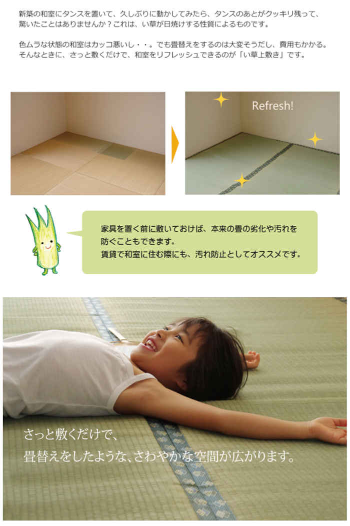 【代引不可】い草 上敷きカーペット ござ 三六間2畳 約182×182cm 九州産い草使用 畳の日焼けや汚れ防止に 空気浄化 調湿 消臭 抗菌防臭 両面 コンパクト収納 双目織 松 純国産 日本製 IKEHIKO 1103242 3