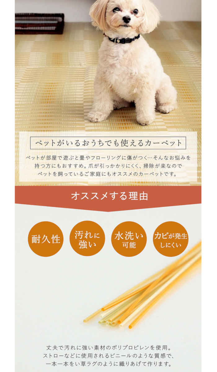 【代引不可】ござ 江戸間8畳 約348×352cm カーペット ラグ 日本製 国産 ポリプロピレン 耐久性 汚れに強い 洗える カビにくい 除菌スプレー対応 インテリア アウトドア レジャー ペット 日本製 IKEHIKO HYR348352 [3]