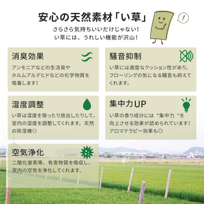 【北海道・沖縄・離島配送不可】【代引不可】い草カーペット 本間4.5畳 286×286cm 上敷き 敷詰 引目織 四方縁 抗カビ 消臭 調湿 空気浄化 畳の日焼けや汚れ防止に 模様替え お手入れ簡単 お掃除ロボット対応 谷川 HAGIHARA 158002345 [3]