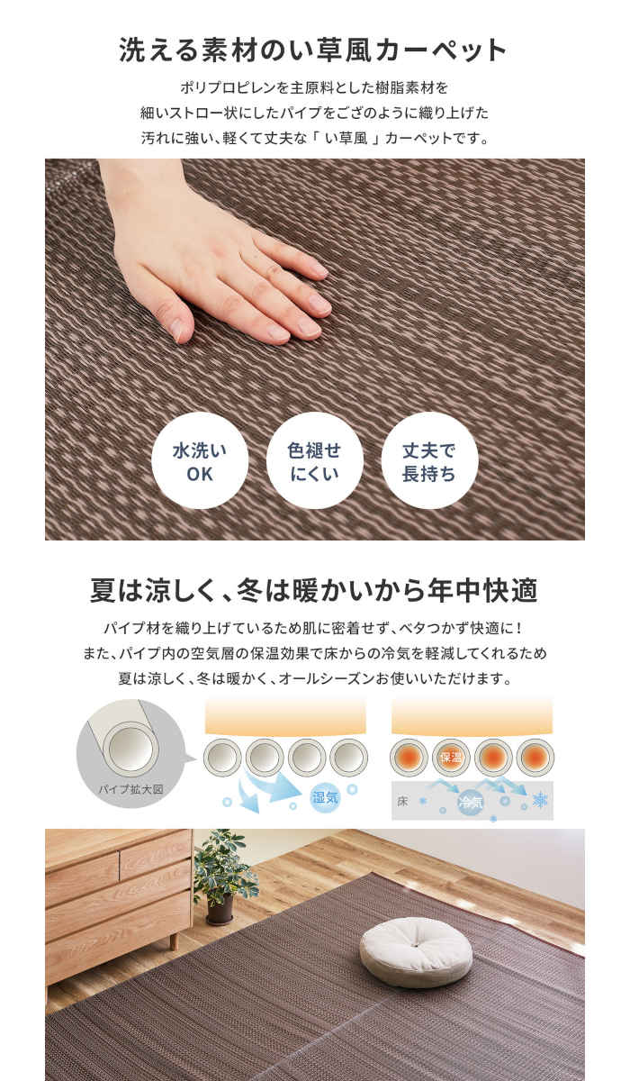【北海道・沖縄・離島配送不可】【代引不可】い草風カーペット 本間1畳 95.5×191cm 洗える ポリプロピレン ござ 寝ござ ラグ マット 模様替え オールシーズン アウトドア 国産 日本製 ミックスカラー ライアン HAGIHARA 18912510x [3]