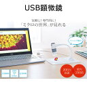 【代引不可】顕微鏡 USB パソコン接続 光学倍率250倍 LEDライト 動画撮影やインターバル撮影にも対応 サンワサプライ LPE-07W