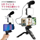 LEDビデオライト マイク付き スマホ三脚 LEDライト LED 動画撮影 スマホライト youtube 撮影 ライト充電式 小型 フィルライト テレワーク Tiktok Vlog 動画配信 スチール製 在宅ワーク テレワーク ゲーム配信 手持ちOK ユーチューブ Vログ andoroid iphone アンドロイド 三脚