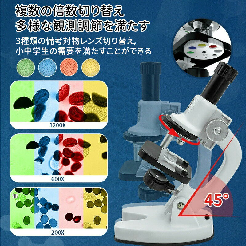 DressBridgeの＼10倍ポイント／顕微鏡 小学生 子供用 200～1200倍 スマホ撮影セット 夏休み 自由研究 キット 子供 スマホ 中学生 顕微鏡セット 観察 生き物 学習 マイクロスコープ プレパラート付 生物顕微鏡 対象年齢 8歳以上 小学校 理科 生物 科学 化学 植物 生物 実験｜アングル3