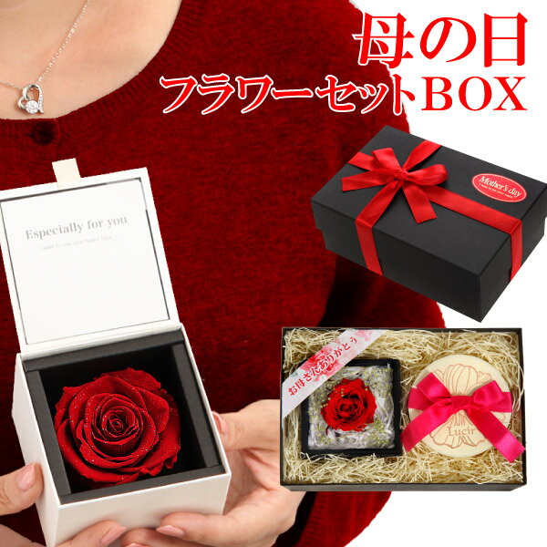 ۡھʹԸڥ֥ץꥶ֥ɥեץѥåsppackage-mothersday ץ쥼 ...