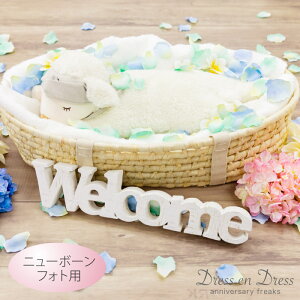 【バレンタイン150円クーポン】ニューボーンフォト カゴ バスケット クーファン クーハン 手ひも付き welcomeプレート 花びら付き メイズ アイテム かご 赤ちゃん グッズ 白 撮影 小物 新生児フォト セルフ ギフト バレンタイン ギフト