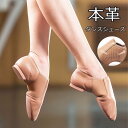 ジャズシューズ 本革 羊革 ジャズダンスシューズ キッズ 子供 ジュニア 大人 ダンスシューズ ジャズダンス ダンスローカット レッスン バレエ チアダンス チ...