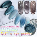 5Dギャラクシー キャッツアイパウダー 5Dキャッツアイパウダー マグネットパウダー キャッツアイ ネイル