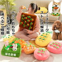 犬おもちゃ人参にんじん畑知育玩具ノーズワーク イチゴ狩り ペットおもちゃにんじん キノコ ノーズワーク おやつ隠し 訓練毛布 ペット 犬 分離不安/ストレス解消...