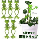 \ 5個セット /誘引クリップ 園芸クリップ カエル型 観葉植物スタンド 5個セット トマト きゅうり ぶどう 野菜対応ガーデン用品ヘゴ モンステラ 支柱クリッ...