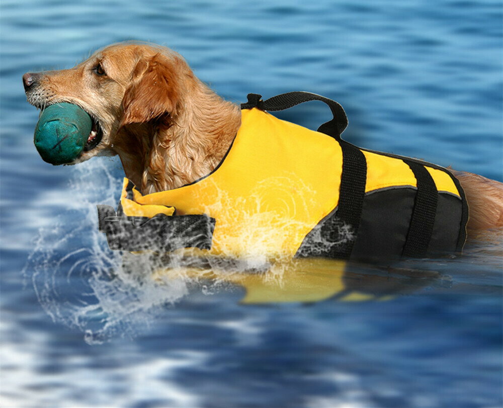 【2点購入で400円OFF】犬 ライフジャケッ...の紹介画像3