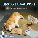 ひんやり ペット用シーツ 【2点購入で400円OFF】犬 猫 うさぎ 夏用 接触冷感シーツ ペット用 クール マット ひんやり 60cm 75cm 100cm ...