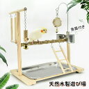 【P3倍】インコ 遊び場 三層 バード アスレチック 玩具 スタンド 止まり木 はしご 食器 水器 鳥 巣 カゴ 遊園地 秋千 ラダー ベル 鳥の巣 鳥栖 オウムブランコ 鳥グッズ セキセイインコ 文鳥 アスレチック 玩具 スタンド 止まり木 原木