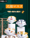 『800円クーポン』マスク 不織布 50枚セット 超可愛い柴犬顔 マスク 個包装 使い捨てマスク 不織布マスク 成人用 不織布3層式 3D立体加工 mask 通勤 高密度フィルター 5色 かわいい キノハ ナチュラル　通学 通勤 電車