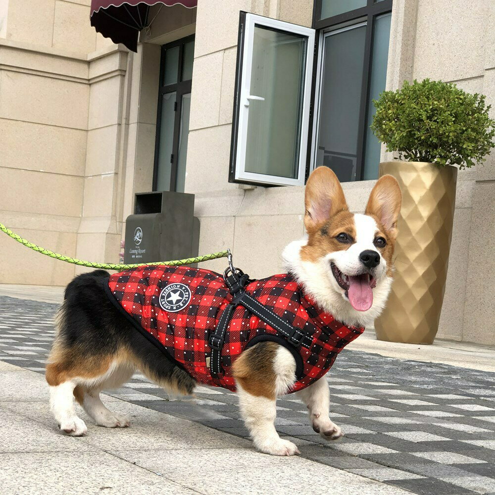 ■ポイント5倍■猫服 犬服 仮装 可愛いサンタクロース ペット服 変身コスチューム立ちぐるみ 犬コスプレ ペットコスプレ ペット用かぶりもの 出掛け おしゃれ 犬服 ドッグウェア 記念撮影 クリスマスパーティー 新年 お祝い