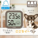 【公式】 「ここちイーワン」 dretec ドリテック O-443DBRPT 温湿度計 犬用 ペット デジタル 壁掛け スタンド 時計 温度計 温度 湿度 おしゃれ シンプル かわいい 小型 コンパクト 軽量 犬 動物 Hapetsu
