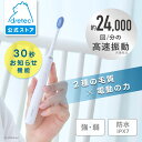 【公式】 ドリテック 音波式電動歯ブラシ 「ドクター・ソニック ライト」 防水 IPX7 30秒タイマー機能 歯ブラシ 電動歯磨き 歯垢除去 風呂場 強力 コー...