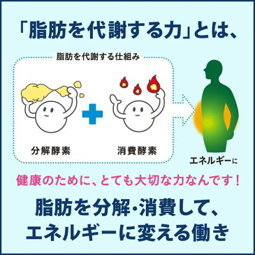 (当店人気商品) 花王 「ヘルシア ウォーター500mlペットx24本ケース販売 (トクホ) (特定保健用食品) (ダイエット) (健康) (スポーツドリンク)