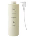 ナンバースリー イルガ 薬用トリートメントS 620g