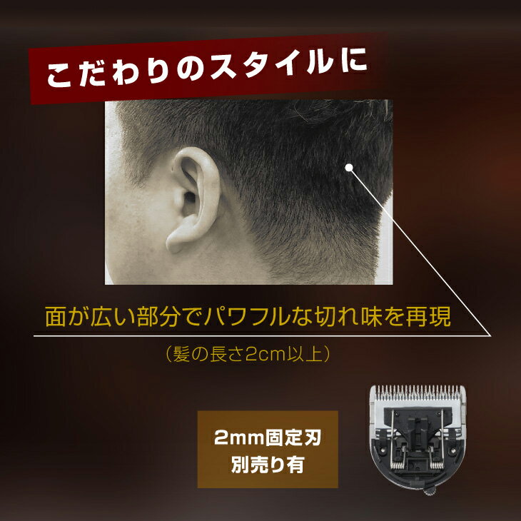 �����ӥ� �ץ�����åѡ� AC-21H02 ��Ȼ�б�