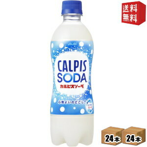 ■メーカー:カルピス■賞味期限:（メーカー製造日より）6カ月■乳酸菌と酵母、発酵という自然製法から生まれた「カルピス」を炭酸で割った乳性炭酸飲料です。やさしく爽やかなおいしさで、すっきりリフレッシュできます。