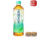 期間限定特価【送料無料】コカコーラ 爽健美茶 600ml増量ペットボトル 48本 (24本×2ケース) 〔コカ・コーラ ボタニカル飲料〕 ※北海道800円・東北...