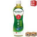 【送料無料】 コカコーラ 綾鷹 特選茶 500mlペットボトル 48本 (24本×2ケース) 特定保健用食品 特保 トクホ コカコーラ あやたか ※北海道800...