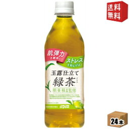 【送料無料】機能性表示食品 ダイドー 肌美精監修 玉露仕立て緑茶プラス 500mlペットボトル 24本入 お茶 肌弾力を維持 ストレスを和らげる ※北海道800円・東北400円・沖縄や離島2000円の別途送料加算