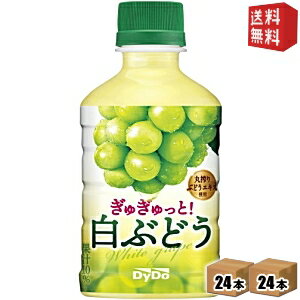 【送料無料】ダイドー ぎゅぎゅっと！ 白ぶどう 280mlペットボトル 48本(24本×2ケース) ※北海道800円・東北400円の別途送料加算 st2505