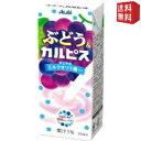 【送料無料】 エルビー ぶどう&カルピス 250ml紙パック 96本(24本×4ケース) フルーツカルピス グレープ ※北海道800円・東北400円の別途送料加...