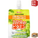  ハウスウェルネス パーフェクトビタミン 1日分のビタミンゼリー マスカット味 180gパウチ 24個入  ※北海道800円・東北400円の別途送料加算 