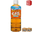  伊藤園 健康ミネラルむぎ茶 600mlペットボトル 48本(24本×2ケース) ※北海道800円・東北400円の別途送料加算 