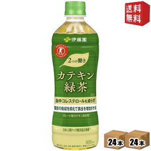 クーポン配布中 在庫処分特価&あす楽対応 伊藤園2つの働きカテキン緑茶500mlペットボトル48本(24本×2ケース) 二つの