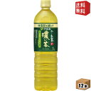 【送料無料】【スリムボトル】伊藤園 お〜いお茶 濃い茶 1Lペットボトル 12本入 おーいお茶 濃いお茶