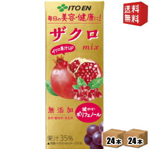 【送料無料】伊藤園 ザクロmix 200ml紙パック 48本(24本×2ケース) ざくろミックス ポリフェノール 香料・酸味料・着色料無添加 ジュース ※北海道800円・東北400円の別途送料加算 [39ショップ]のサムネイル