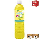 【送料無料】 伊藤園 Relaxジャスミンティー 1Lペットボトル 24本(12本×2ケース) リラックスジャスミンティー スリムボトル 1000ml ※北海道...